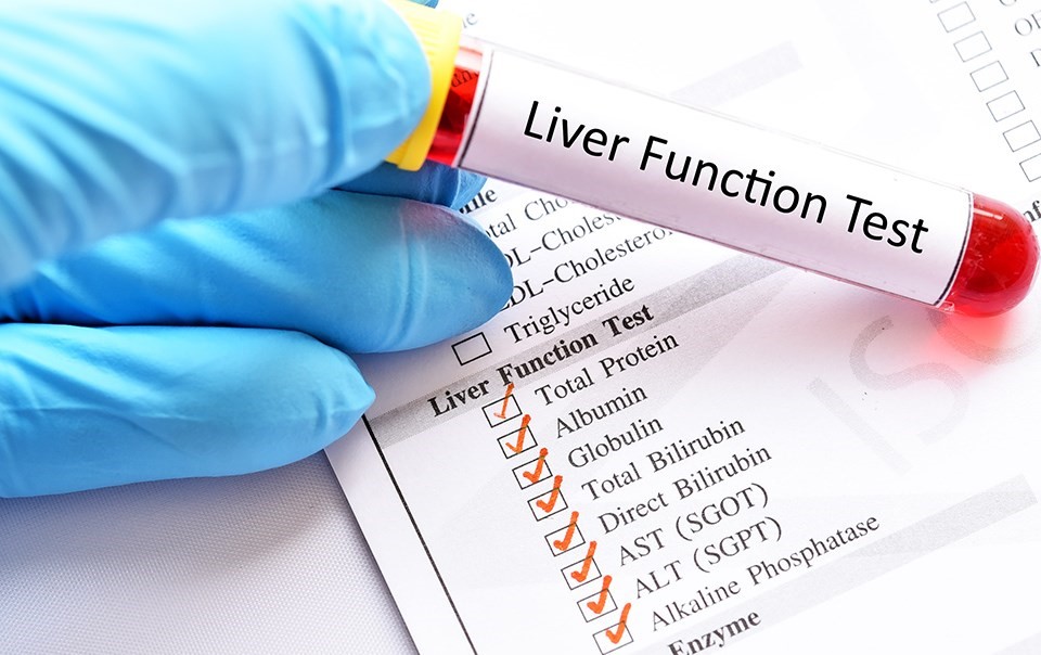 The function of Liver and Pancreatic